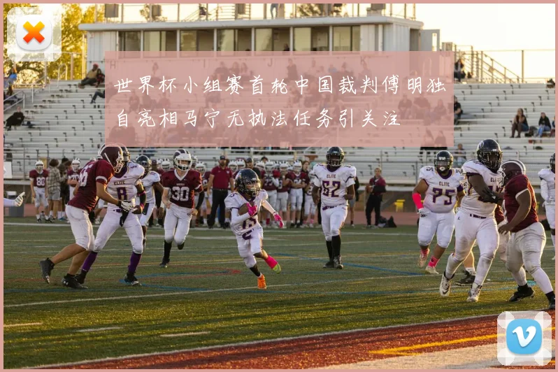 世界杯小组赛首轮中国裁判傅明独自亮相马宁无执法任务引关注